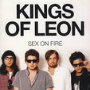 Sex On Fire – Kings Of Leon